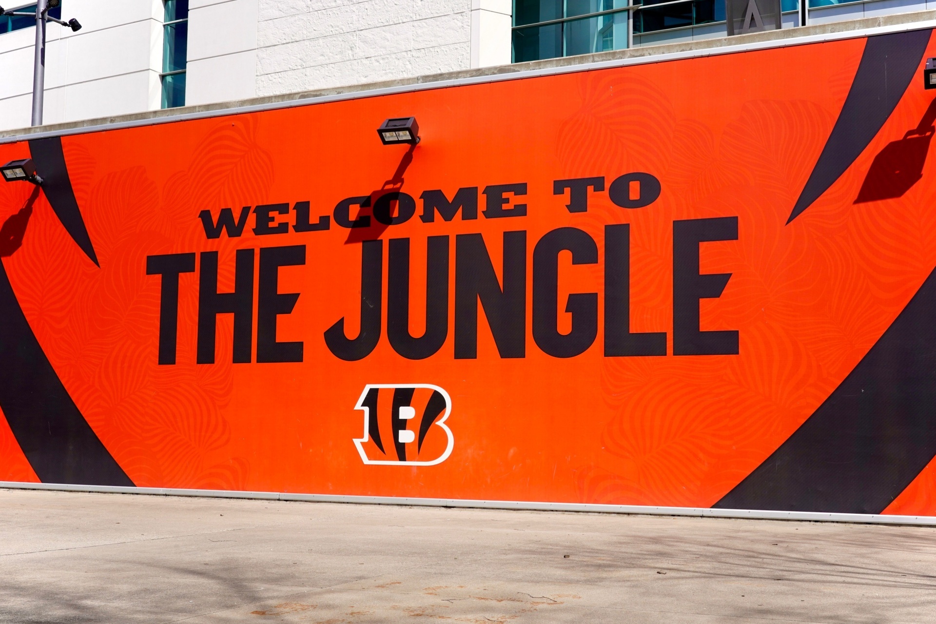 Cincinnati Bengals sign NFL